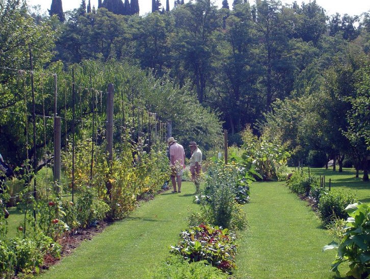 Jardifort Jardinerie, Limoux, France, France